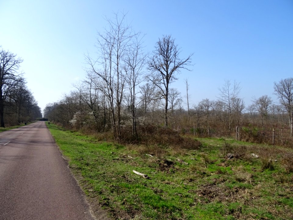 D112, en route vers Chambord, Loir-et-Cher 