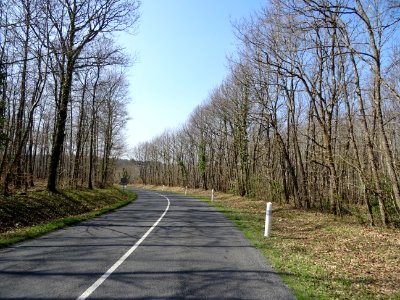 La petite D766 traverse la forêt domaniale de Blois, Loir-… 
