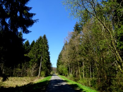 DSC01945 