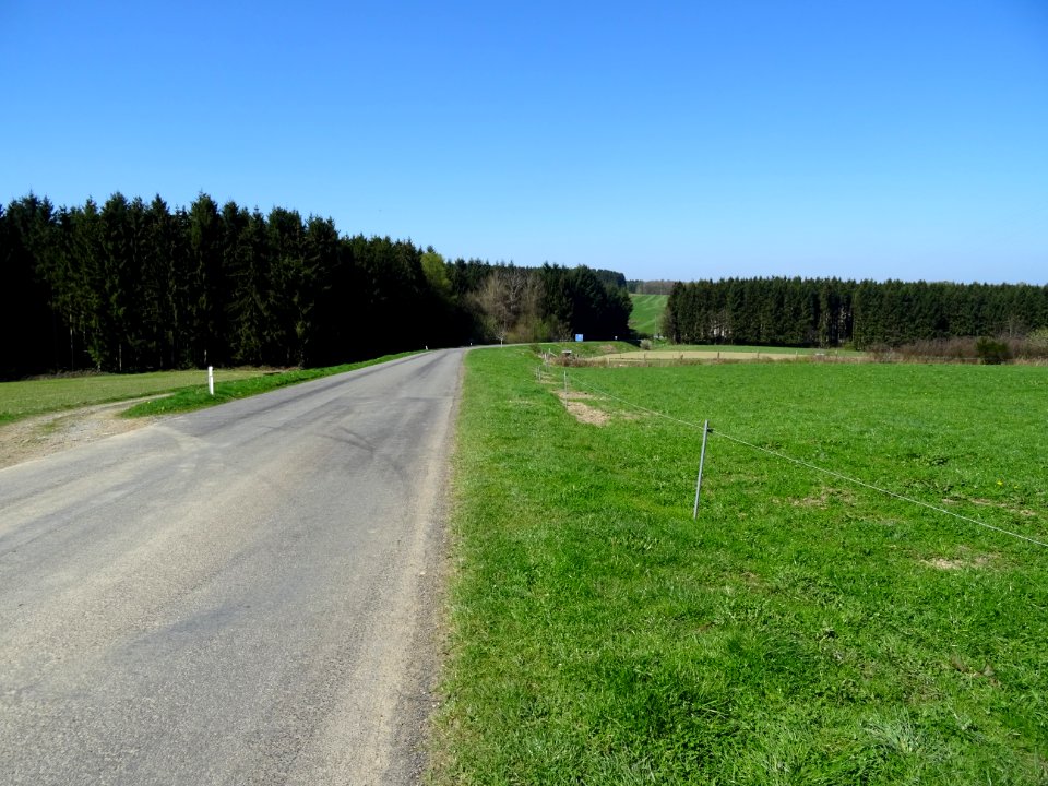 La route entre Bagimont et Bohan, Ardenne Namuroise, Belgi… 
