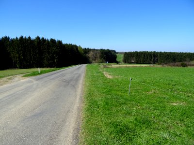 La route entre Bagimont et Bohan, Ardenne Namuroise, Belgi… 
