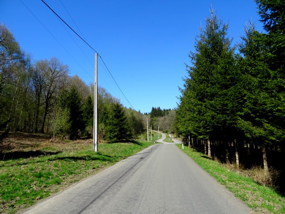 Descente rapide vers Bohan, Ardenne Namuroise, Belgique 