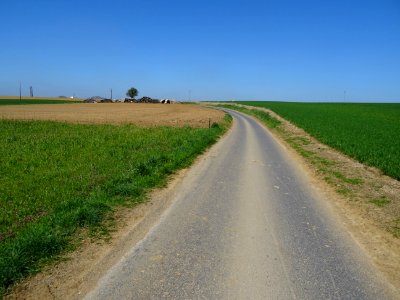 La route vers Illy, Ardennes 