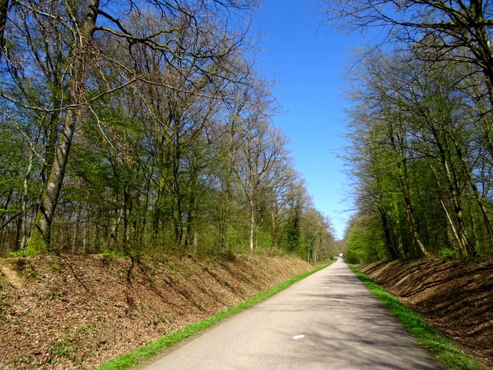 La D29 file au nord vers la Belgique, Ardennes 