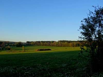 Immense prairie à la sortie de Sécheval, Ardennes. En bord… 
