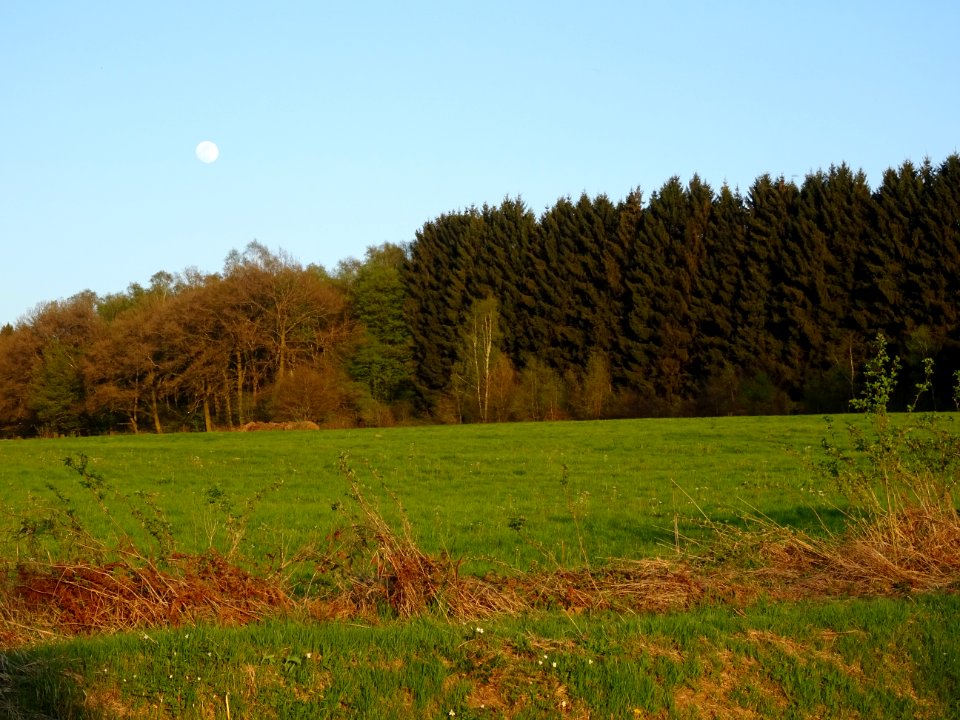 Un dernier coup de lune, à la sortie de Sécheval, Ardennes… 