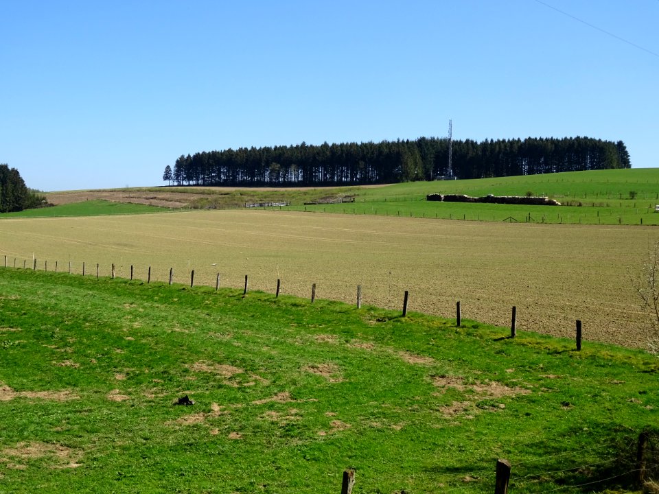 Prairies, cultures et sapinières entre Bagimont et Bohan, … 