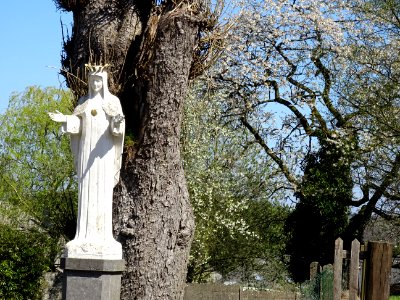 Statue de la Vierge Marie, Sugny, Belgique photo