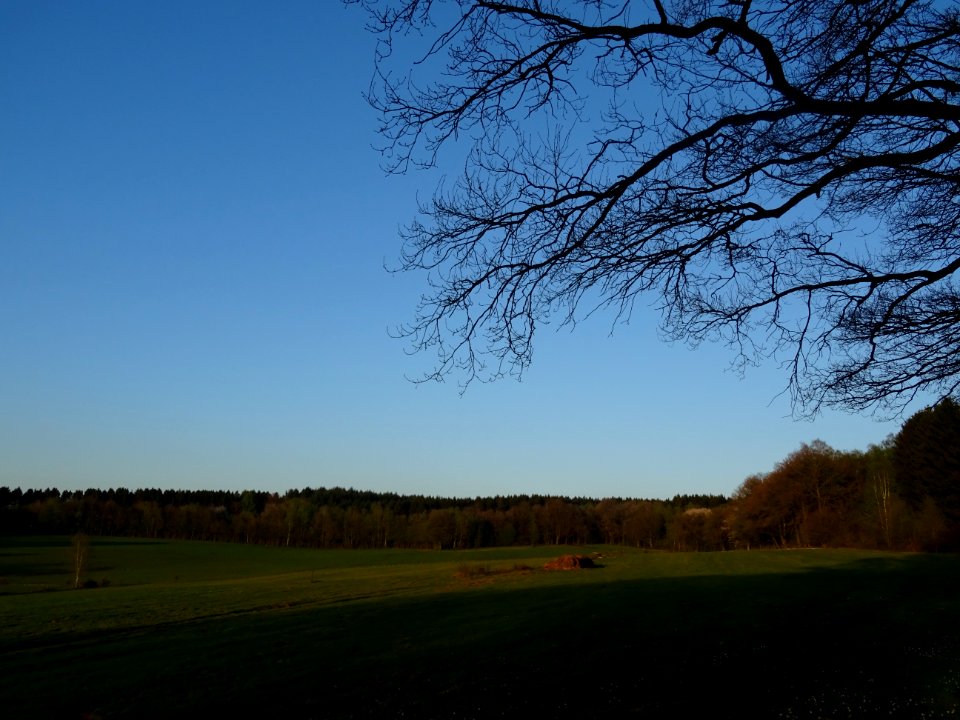 Immense prairie à la sortie de Sécheval, Ardennes 