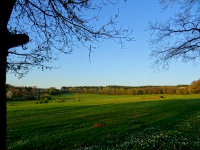 Immense prairie à la sortie de Sécheval, Ardennes. En bord… 
