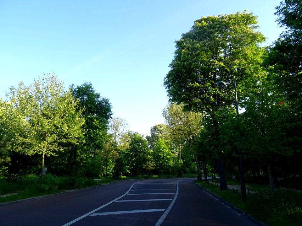 Allée de la Reine Marguerite, Bois de Boulogne, Paris 