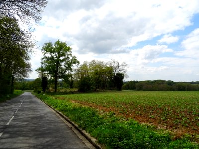 DSC02602 
