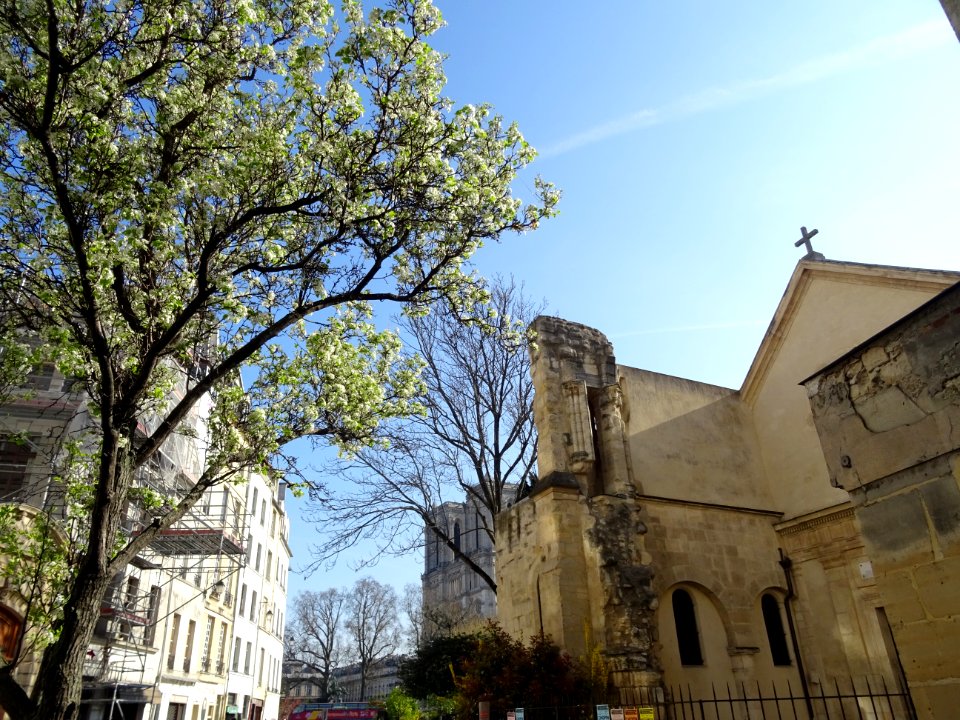 Eglise Saint-Julien-le-Pauvre, rue Saint-Julien-le-Pauvre … 