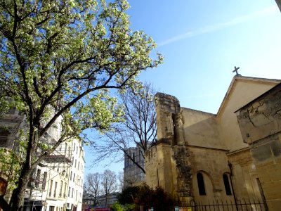 Eglise Saint-Julien-le-Pauvre, rue Saint-Julien-le-Pauvre … photo