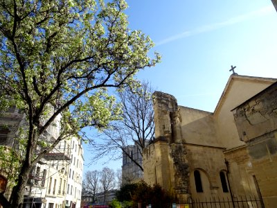 Eglise Saint-Julien-le-Pauvre, rue Saint-Julien-le-Pauvre … 