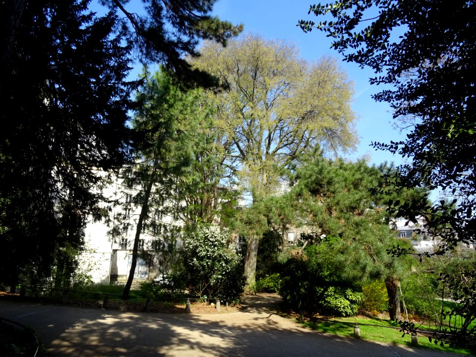 Dans le jardin des Plantes autour du Museum National d'His… 