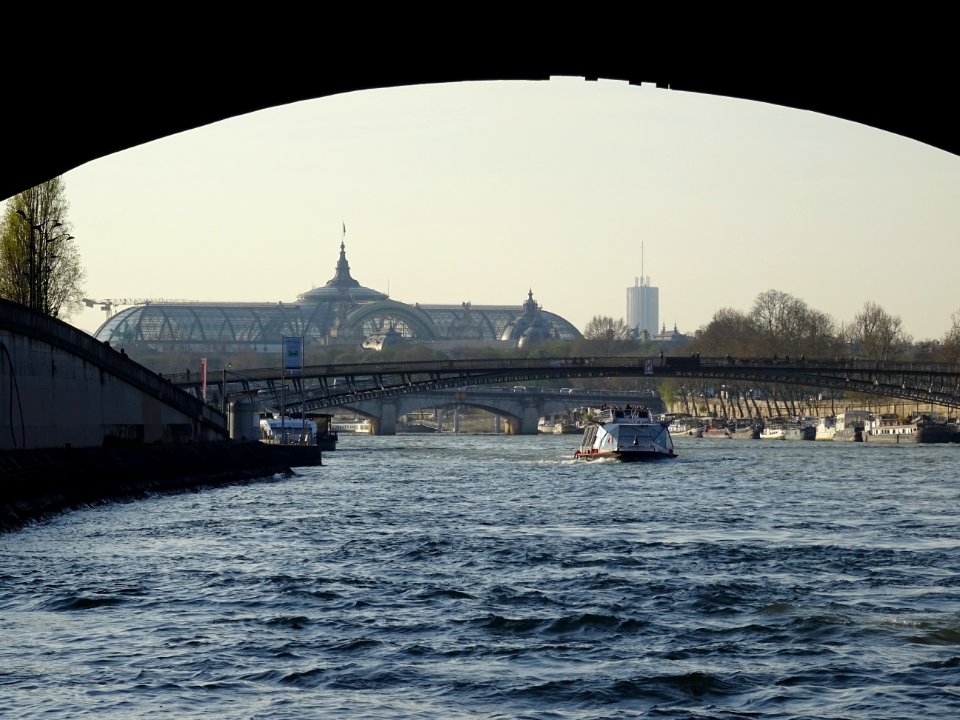 Le Grand Palais et la Seine, Paris 