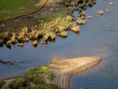 La Loire, banc de sable et végétations, à Orléans, Loiret 