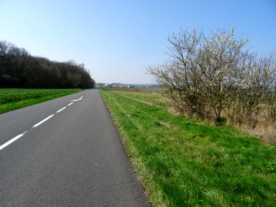 Route d'Herbault entre Orchaise et Herbault, Loir-et-Cher 