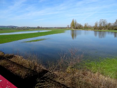 Les prairies sont inondées, avant d'arriver à Carignan, Ar… photo