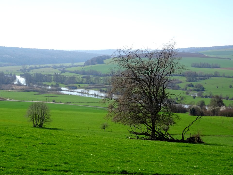 Depuis les Horgues sur les hauteurs de Mouzon, vue vers le… 