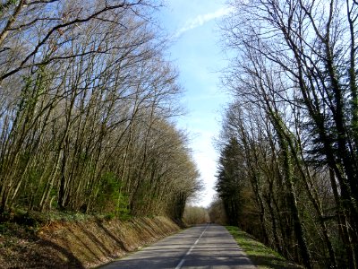Sur la route entre Villette et Colmey, Meurthe-et-Moselle 