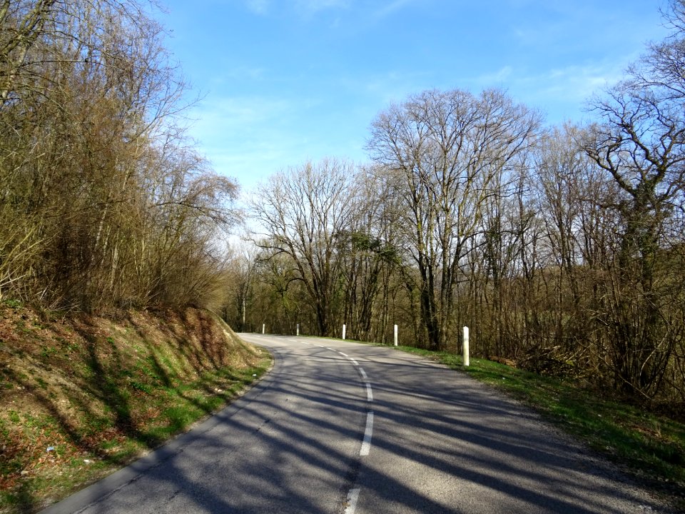 Sur la route D29C, entre Colmey et Longuyon, Meurthe-et-Mo… 