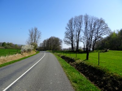 DSC01833 