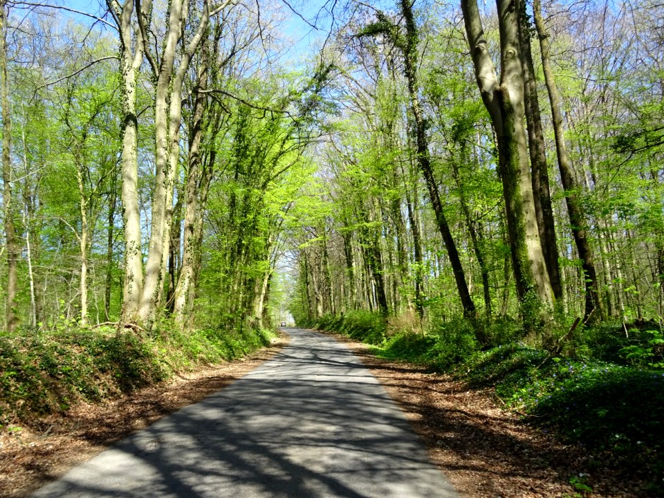 Cette petite route s'appelle Rue de la Garenne et file à… 
