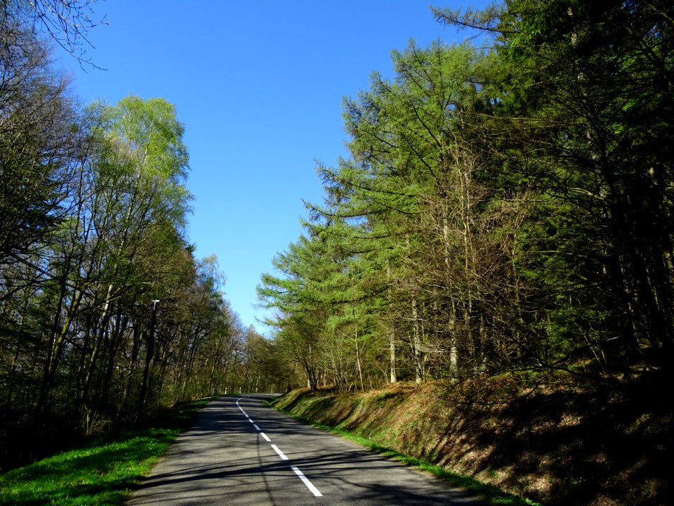 La D989 s'élève dans la forêt domaniale de Château Regnaul… 