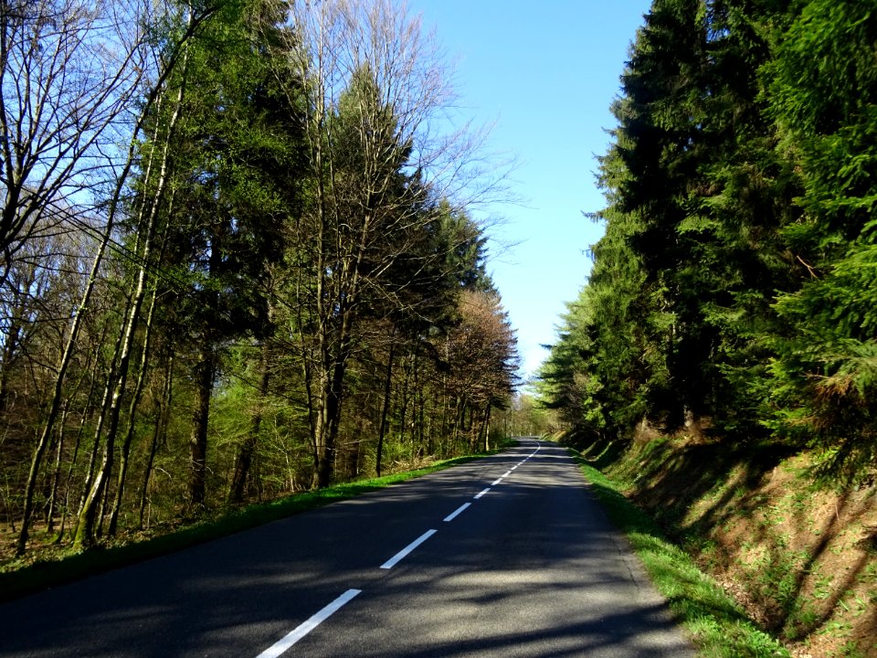 La D989 s'élève dans la forêt domaniale de Château Regnaul… 