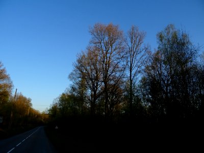 Lumière du soir avant Sécheval, Ardennes 