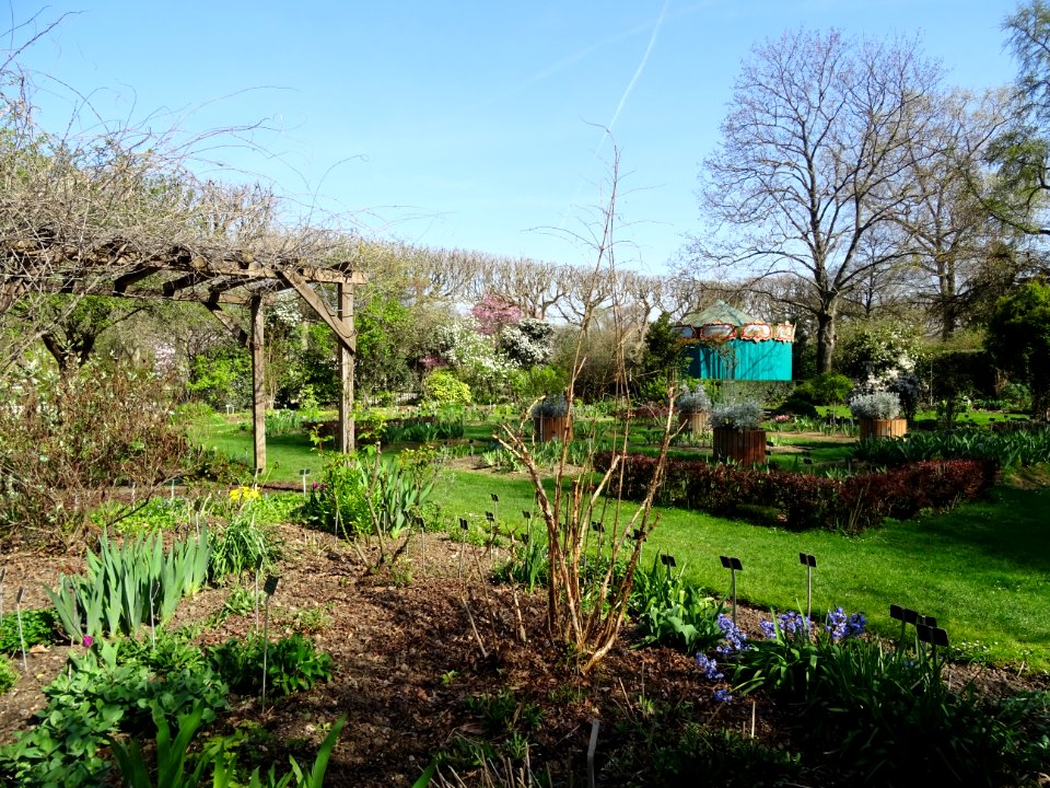 Dans le Jardin des Plantes, 5ème arr., Paris 