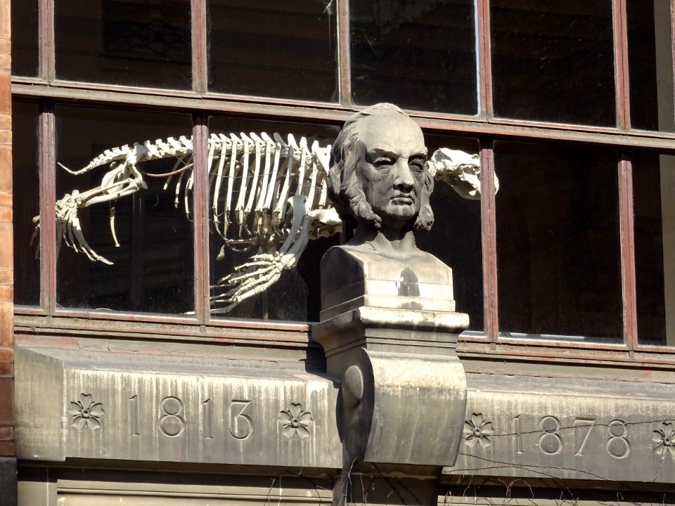 Buste de Claude Bernard, 1813-1878, façade du Museum Natio… 