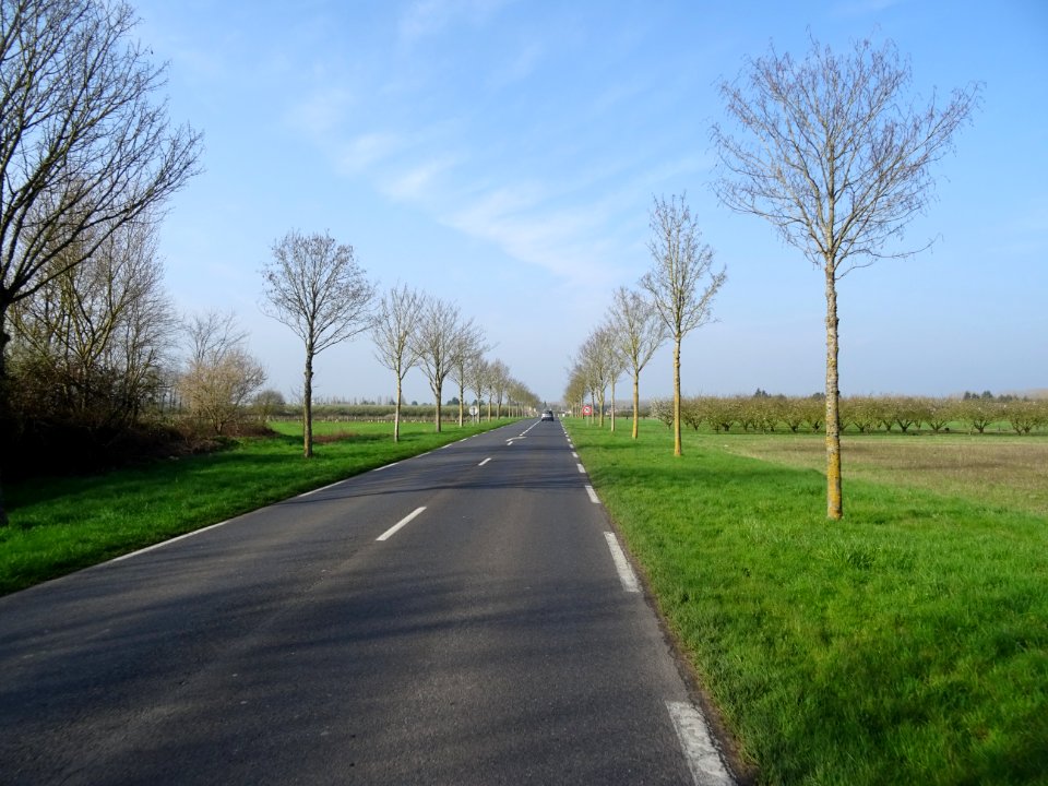 Route D951 entre Saint-Nicolas et Mareau-aux-prés, Loiret 