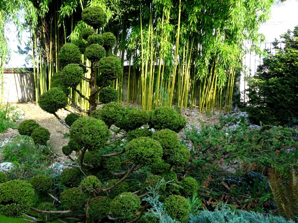 Jardin des Plantes, avenue de Saint-Mesmin, Orléans, Loire… 
