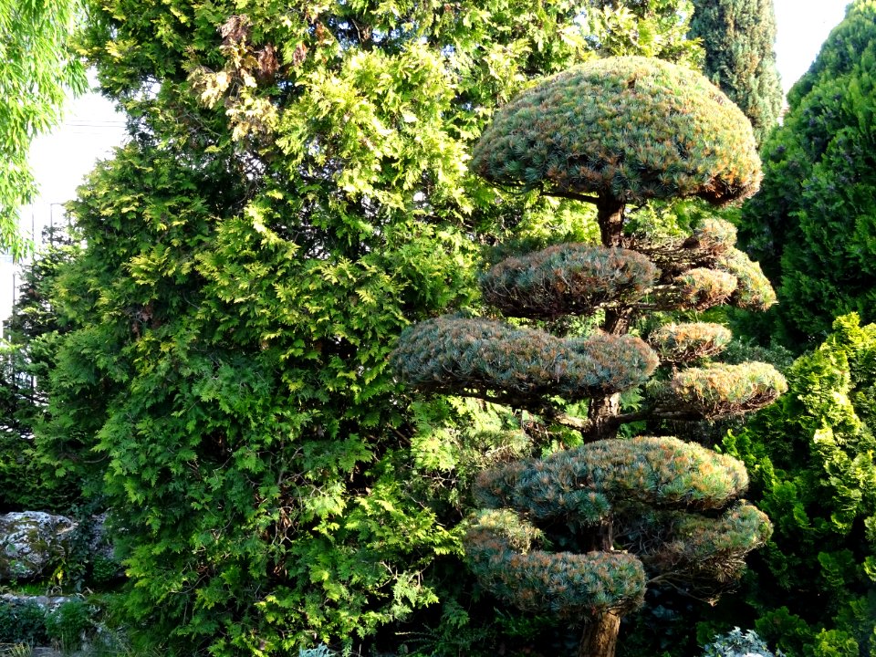 Jardin des Plantes, avenue de Saint-Mesmin, Orléans, Loire… 