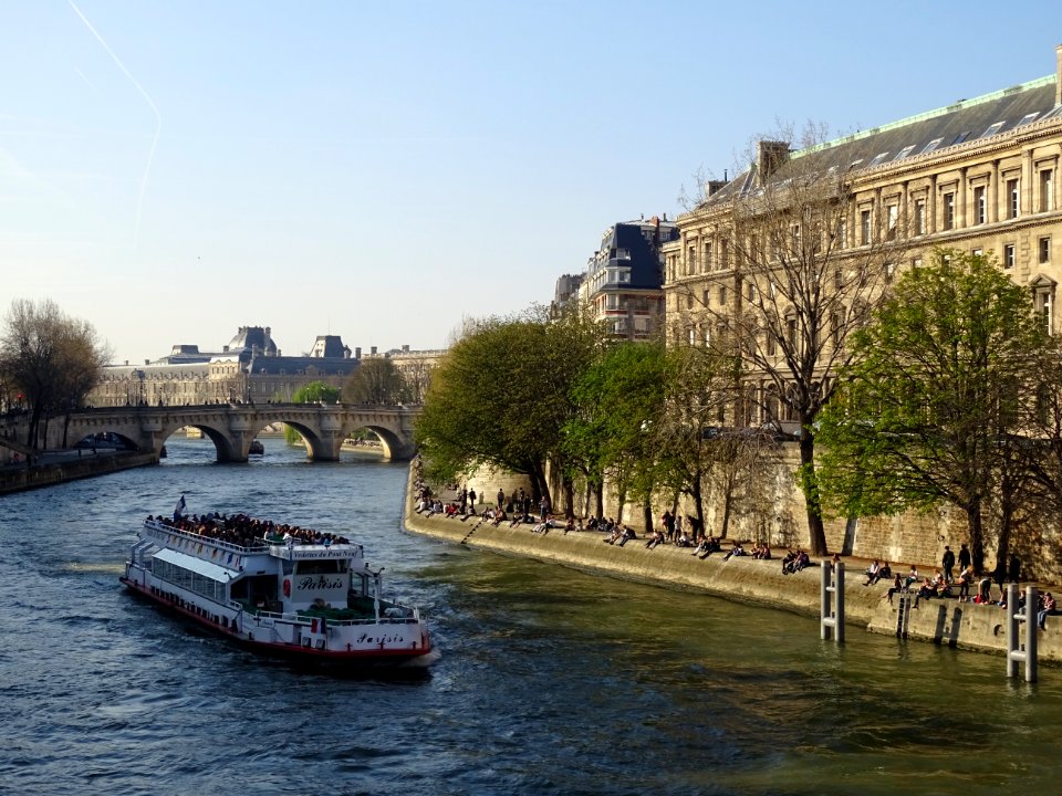 Vedette du Pont-Neuf sur la Seine, Paris 