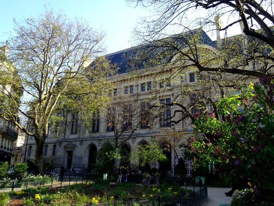 Jardin devant la Sorbonne, Université de Paris, 5e arr., P… 