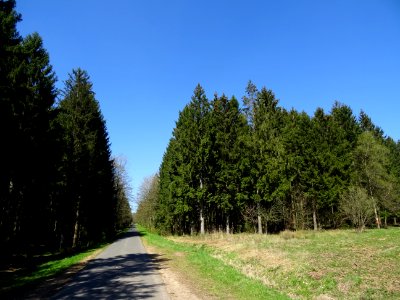 Après Fleigneux, la route D29, file droit au nord vers la … 