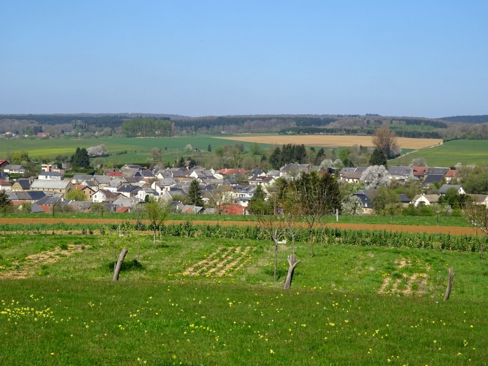 Depuis le Calvaire d'Illy, (cf Général Magueritte 1er sept… 