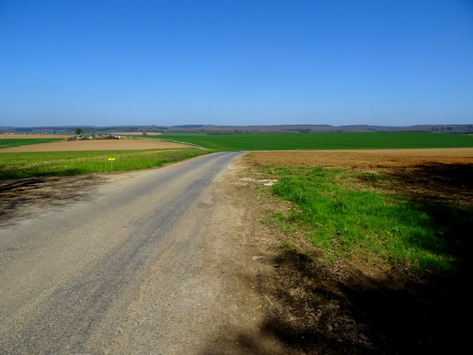En arrivant vers Illy, Ardennes 