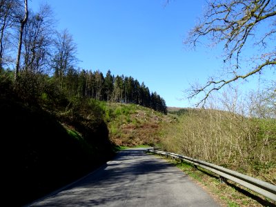 Descente rapide vers Bohan, Ardenne Namuroise, Belgique 