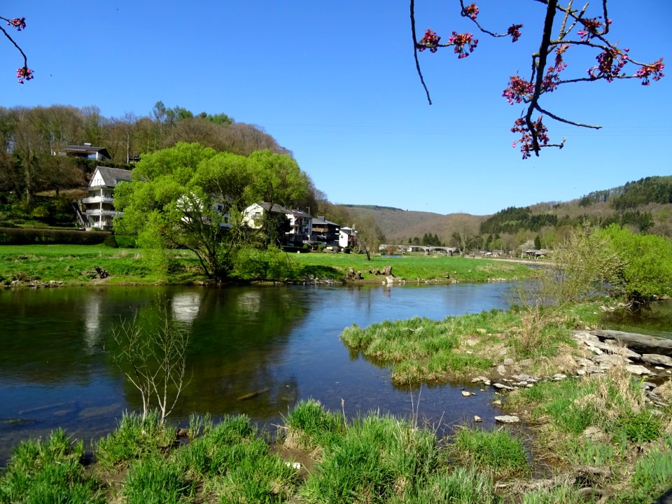 Les rives de la Semois, à Bohan, Ardenne Namuroise, Belgiq… 