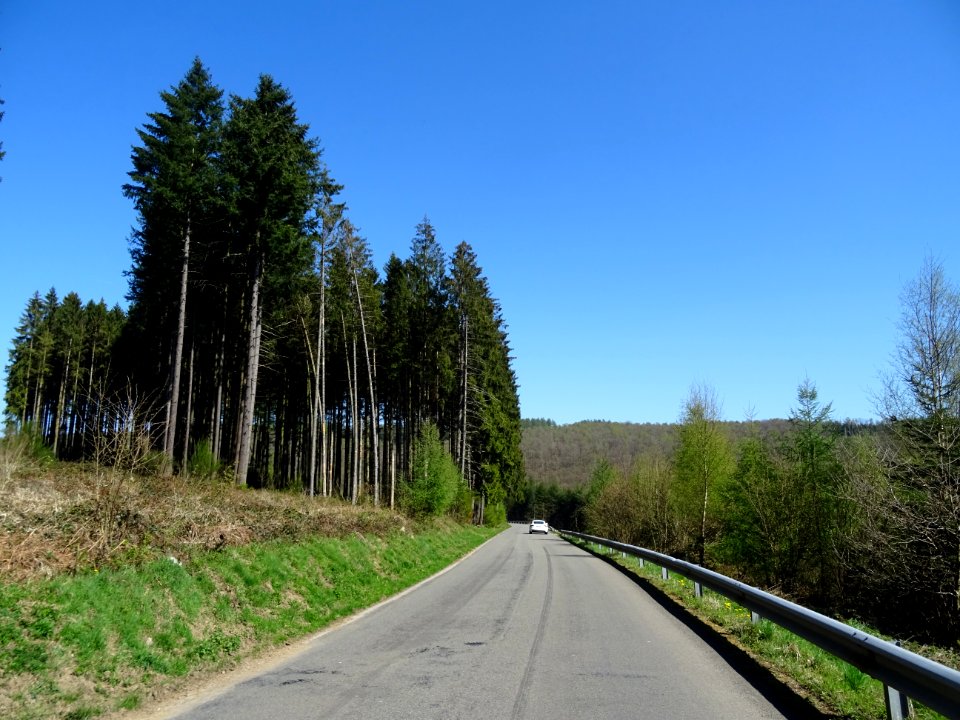 Descente rapide vers Bohan, Ardenne Namuroise, Belgique 