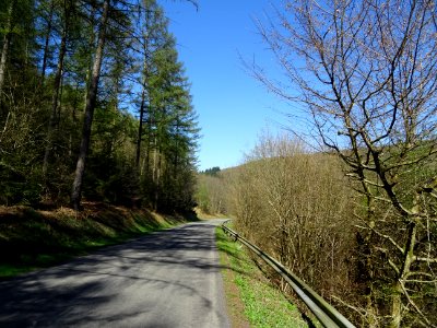 Descente rapide vers Bohan, Ardenne Namuroise, Belgique 