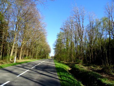 La D989 s'élève dans la forêt domaniale de Château Regnaul… 