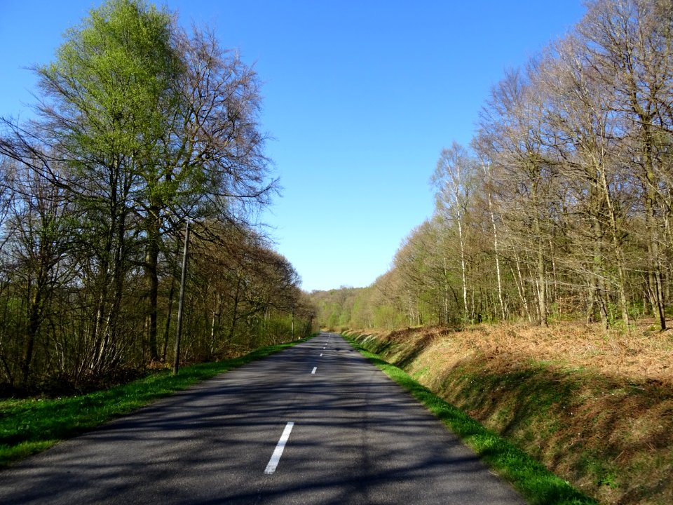 La D989 s'élève dans la forêt domaniale de Château Regnaul… 