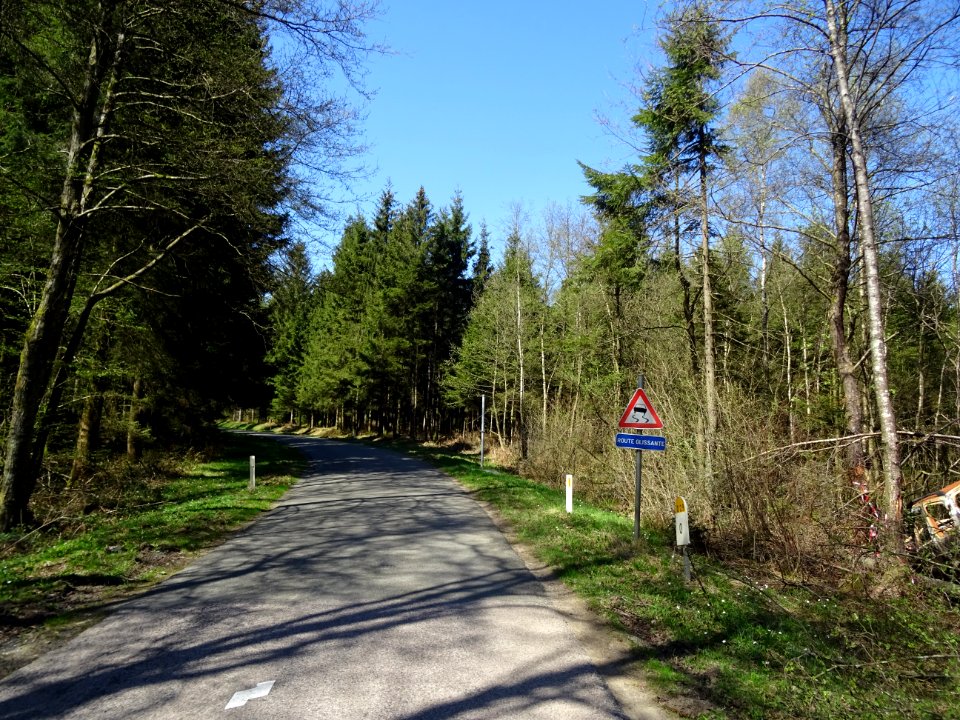Panneau Route glissante, le plus drôle ou le plus triste… 