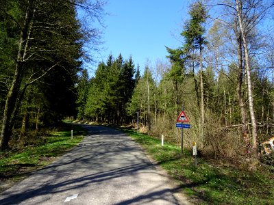 Panneau Route glissante, le plus drôle ou le plus triste… 